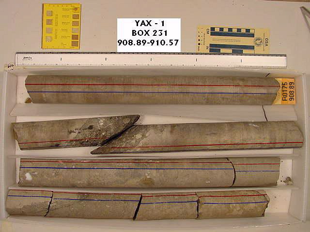 BW_B0231_YAX-1_1