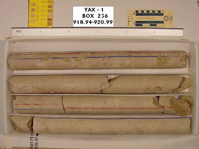 BW_B0236_YAX-1_1