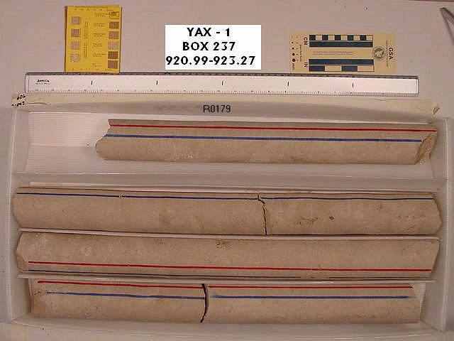 BW_B0237_YAX-1_1