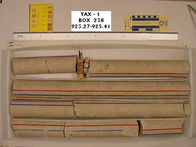 BW_B0238_YAX-1_1