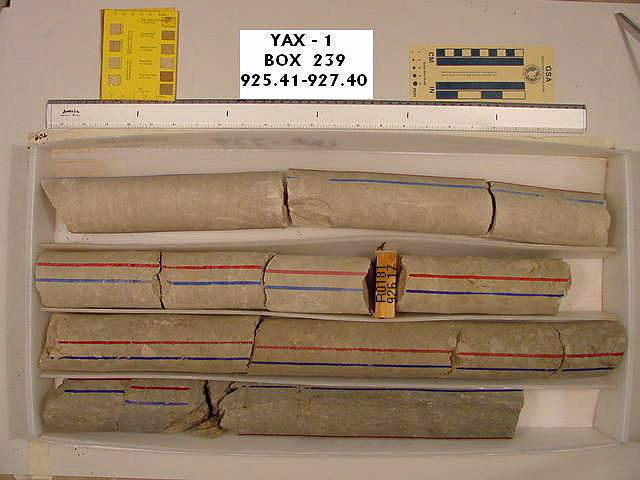 BW_B0239_YAX-1_1