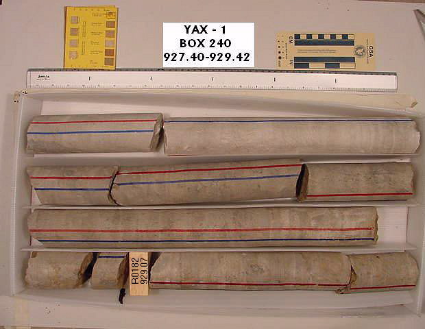 BW_B0240_YAX-1_1