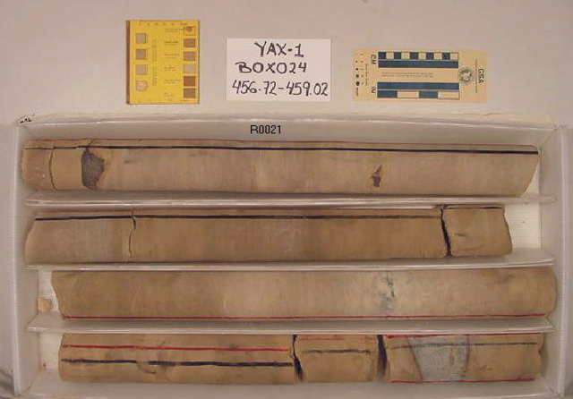 BW_B0024_YAX-1_1