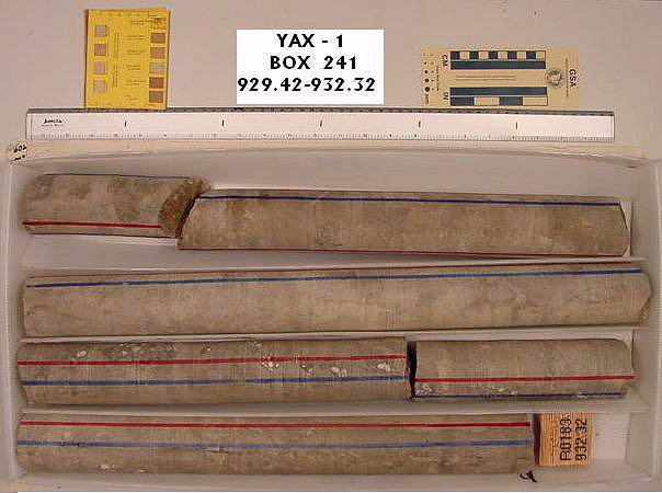 BW_B0241_YAX-1_1