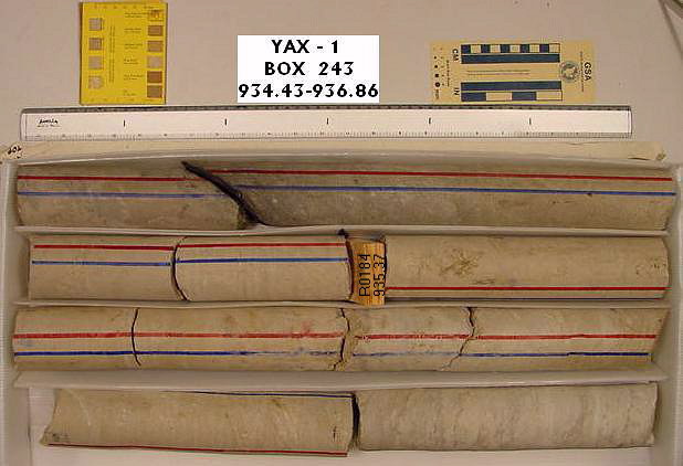 BW_B0243_YAX-1_1
