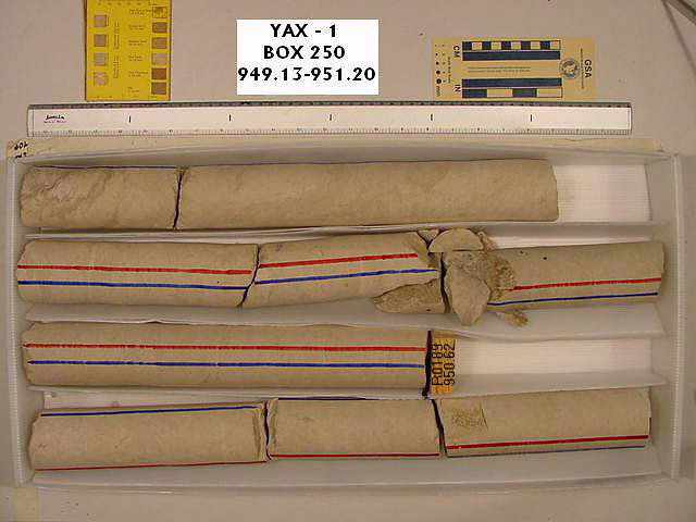 BW_B0250_YAX-1_1