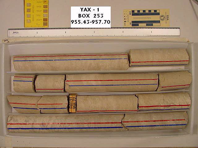 BW_B0253_YAX-1_1
