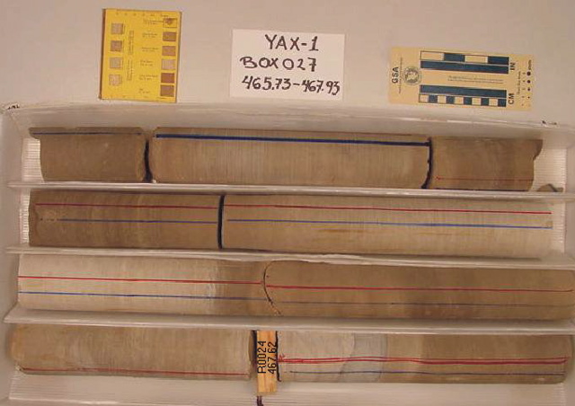 BW_B0027_YAX-1_1