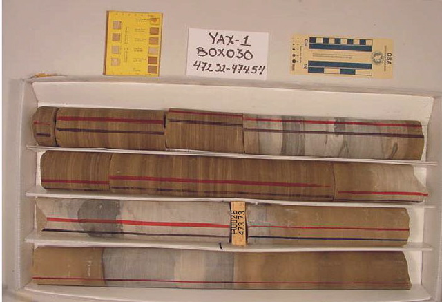 BW_B0030_YAX-1_1