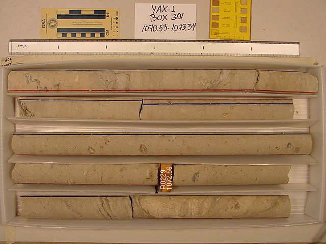 BW_B0301_YAX-1_1
