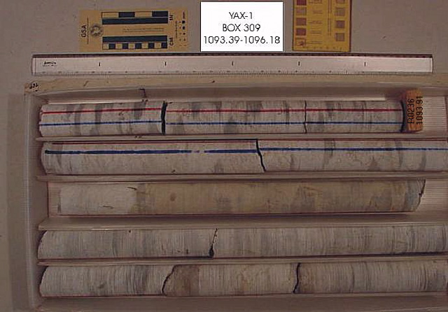BW_B0309_YAX-1_1