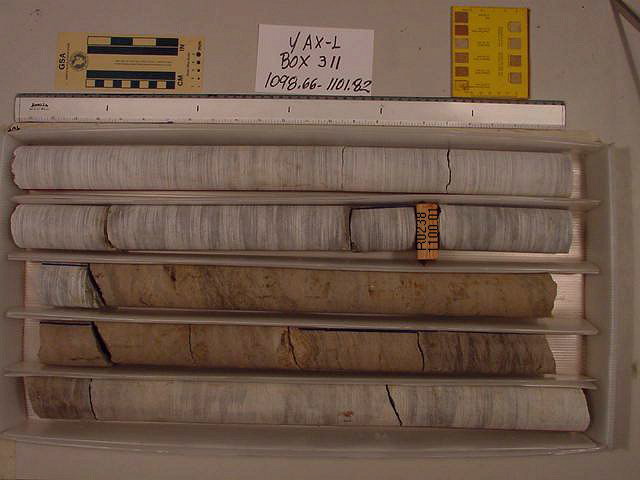 BW_B0311_YAX-1_1