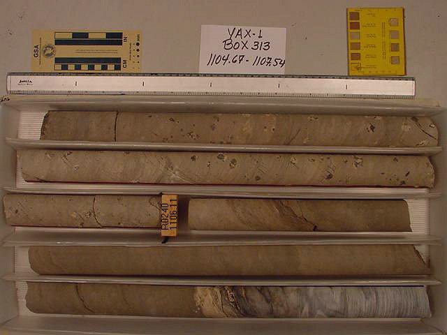 BW_B0313_YAX-1_1