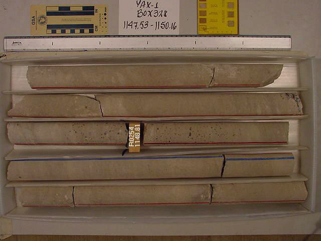 BW_B0328_YAX-1_1
