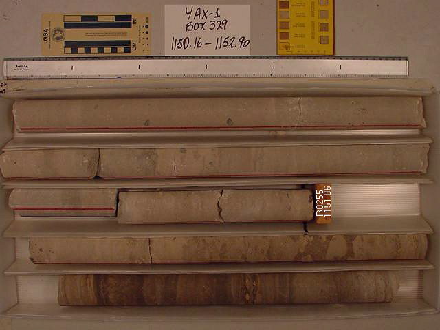 BW_B0329_YAX-1_1
