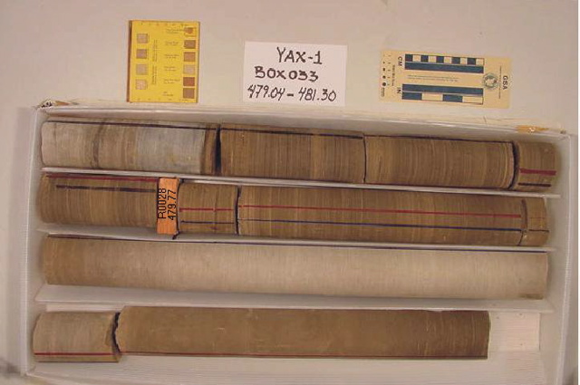 BW_B0033_YAX-1_1