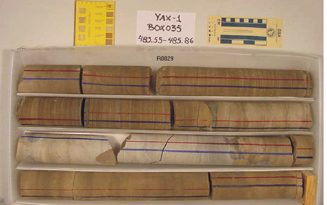BW_B0035_YAX-1_1