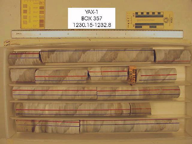 BW_B0357_YAX-1_1