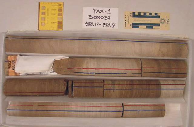 BW_B0037_YAX-1_1