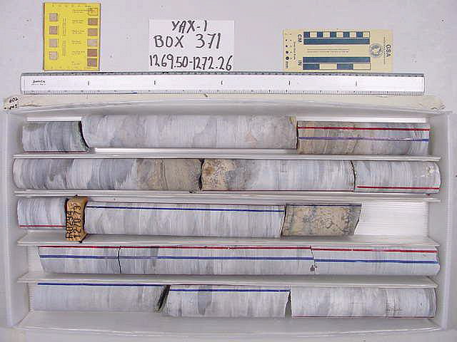 BW_B0371_YAX-1_1