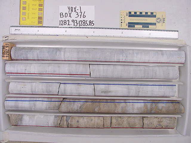 BW_B0376_YAX-1_1
