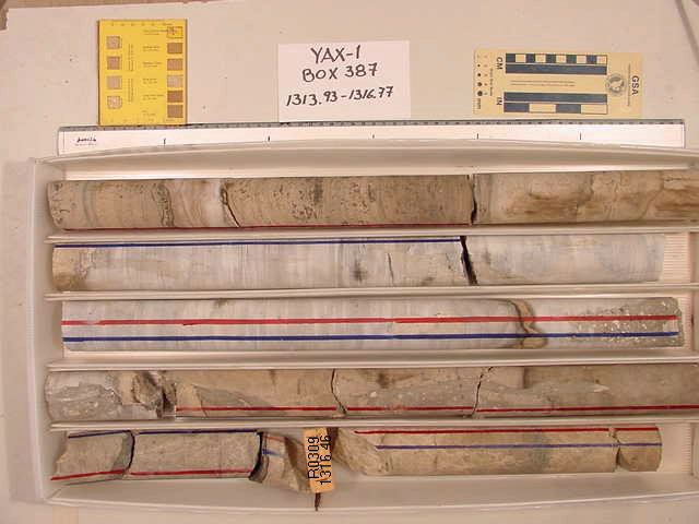 BW_B0387_YAX-1_1