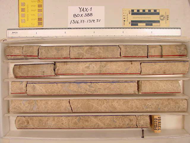 BW_B0388_YAX-1_1