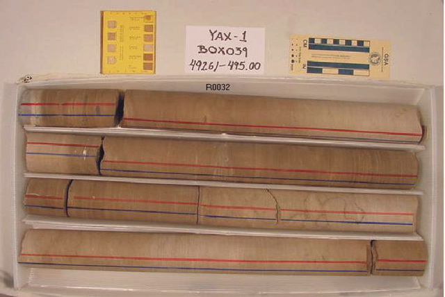 BW_B0039_YAX-1_1