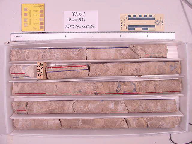 BW_B0391_YAX-1_1