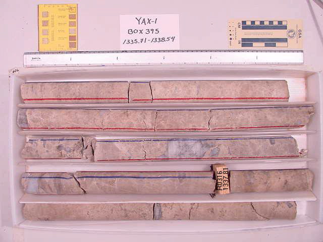 BW_B0395_YAX-1_1