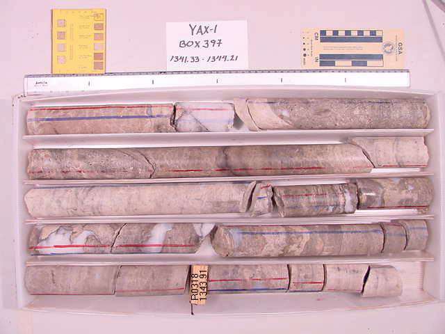BW_B0397_YAX-1_1