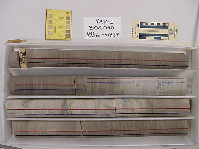 BW_B0040_YAX-1_1