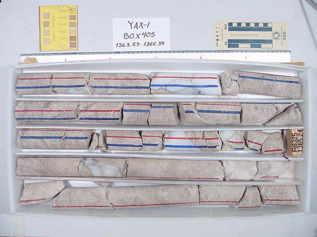 BW_B0405_YAX-1_1
