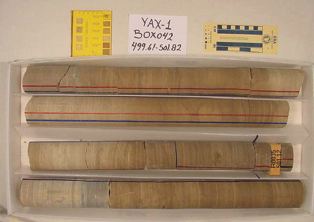 BW_B0042_YAX-1_1