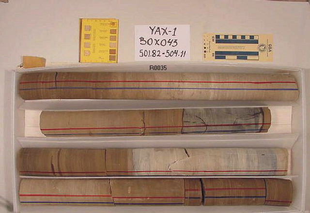 BW_B0043_YAX-1_1