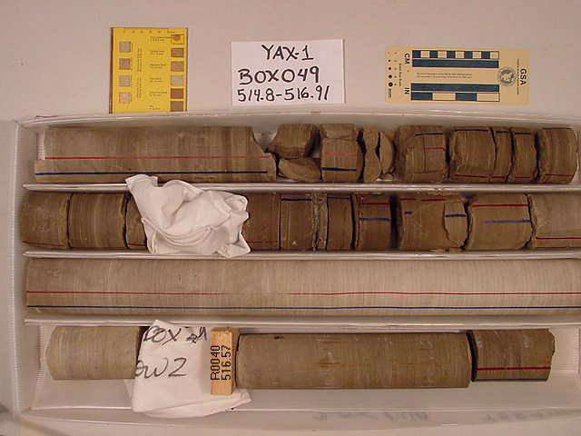 BW_B0049_YAX-1_1