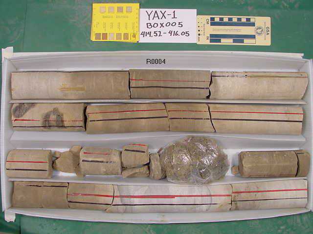 BW_B0005_YAX-1_1