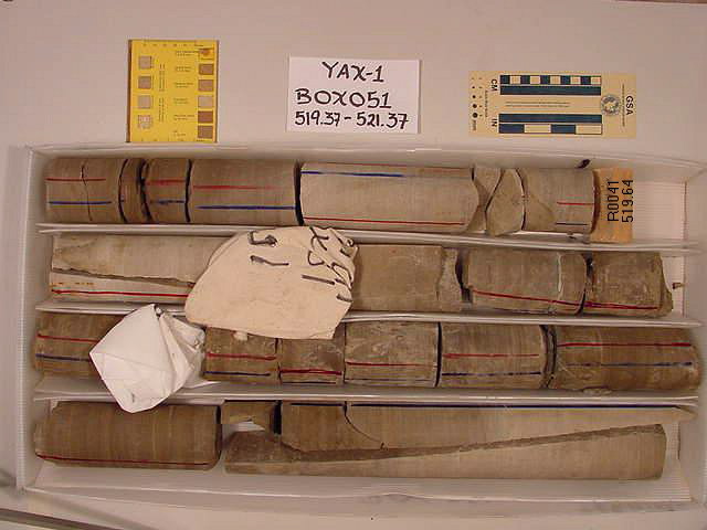 BW_B0051_YAX-1_1
