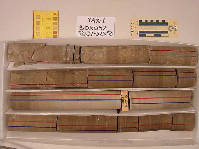 BW_B0052_YAX-1_1