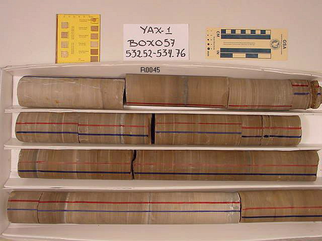 BW_B0057_YAX-1_1