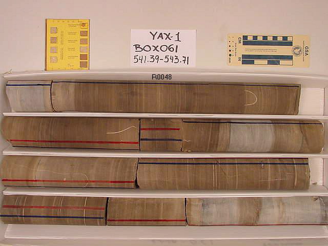 BW_B0061_YAX-1_1
