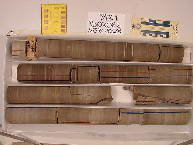 BW_B0062_YAX-1_1