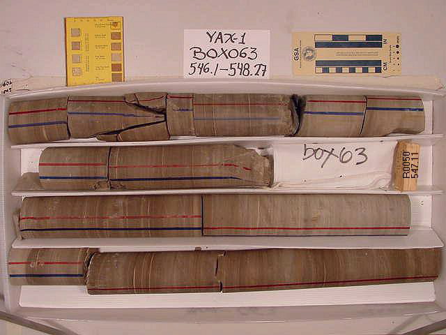 BW_B0063_YAX-1_1