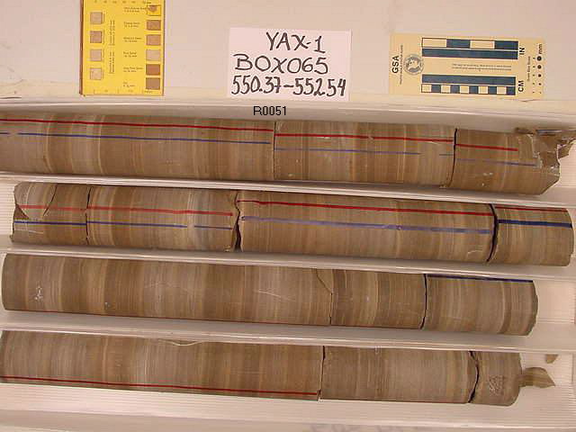 BW_B0065_YAX-1_1