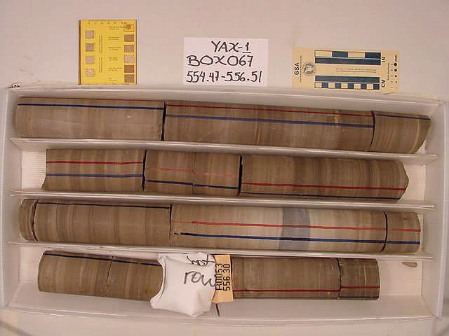 BW_B0067_YAX-1_1