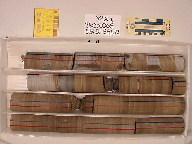 BW_B0068_YAX-1_1