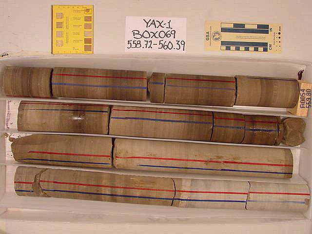 BW_B0069_YAX-1_1