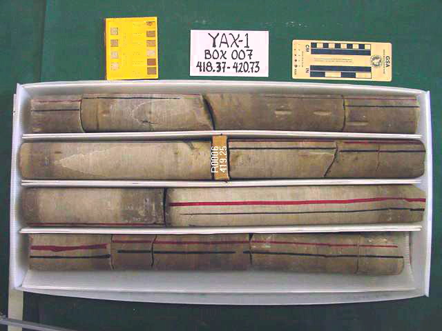 BW_B0007_YAX-1_1