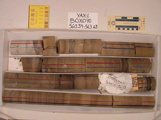 BW_B0070_YAX-1_1