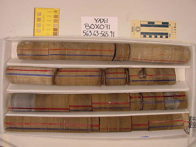 BW_B0071_YAX-1_1